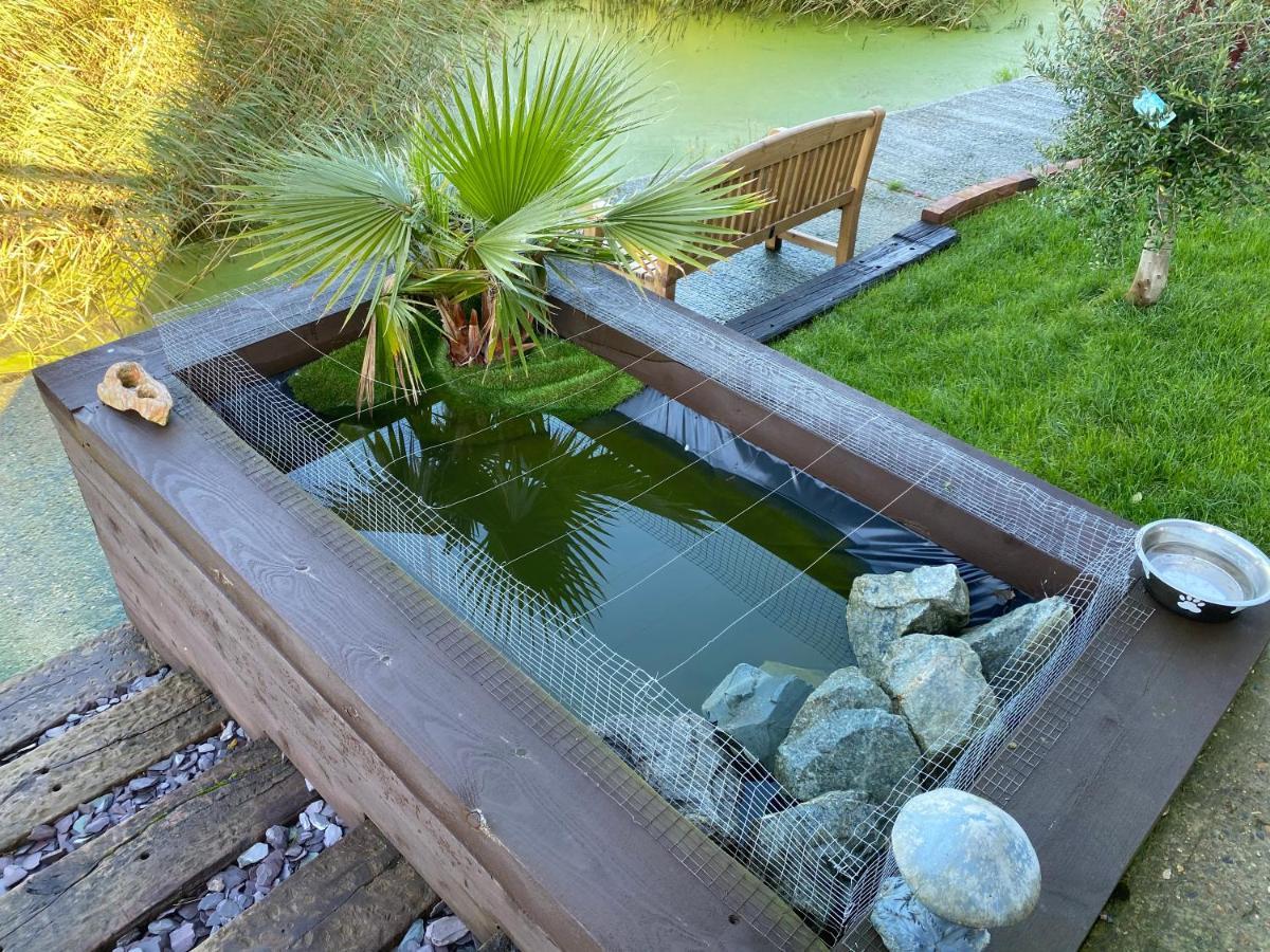 Waterside Guesthouse Димчърч Екстериор снимка